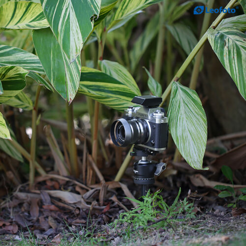 Leofoto A200+P50 8
